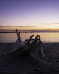 Driftwood on beach by sea against sky during sunset