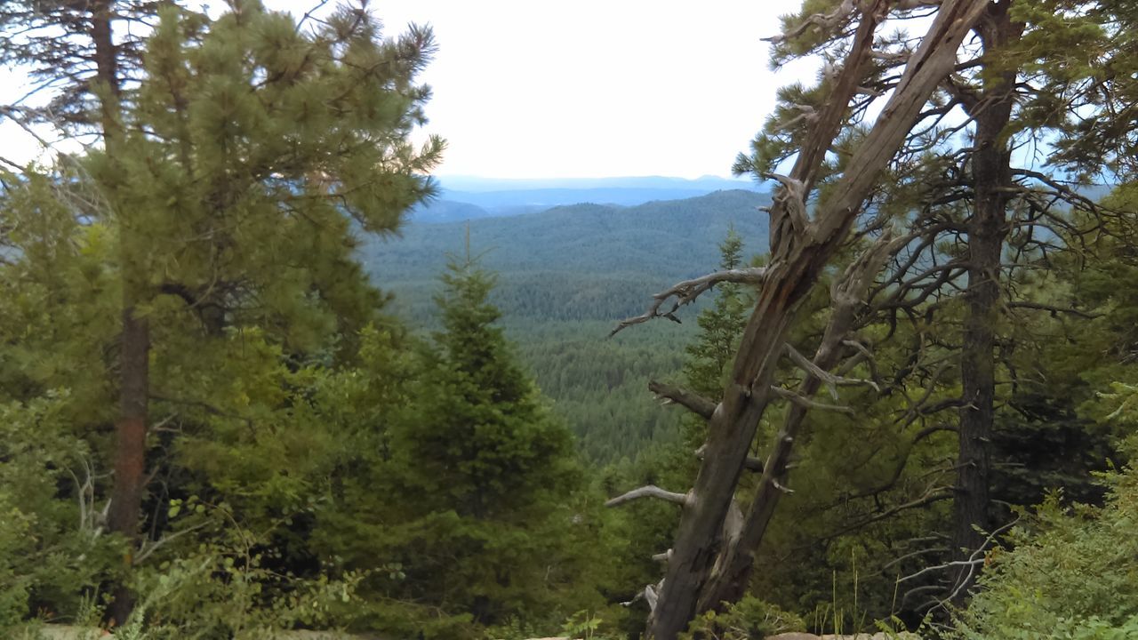 The Rim Visitor Center