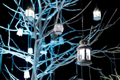 Illuminated lanterns hanging on bare tree at night