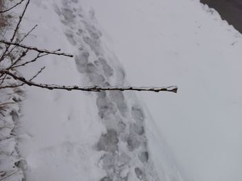 Close-up of frozen water against sky