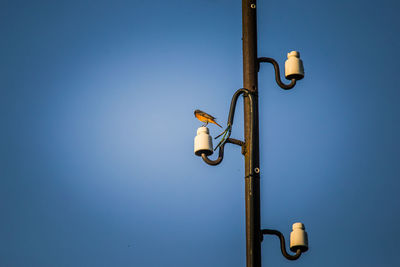 Low angle view of street light against sky