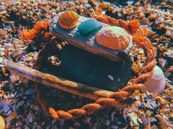 High angle view of ropes on wood