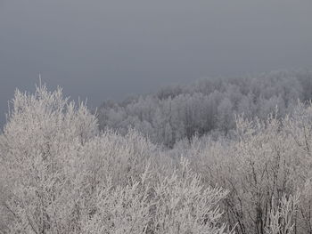 Scenic view of snow covered land against sky