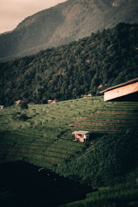 House and agricultural field against mountains