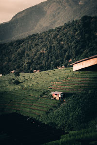 House on field by mountains