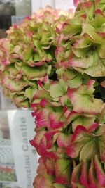 Close-up of vegetables for sale in market