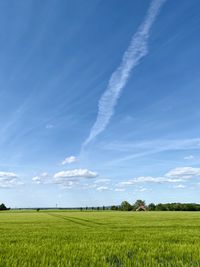 Scenic view of agricultural field against blue sky