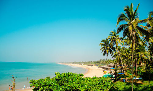 Scenic view of sea against clear blue sky