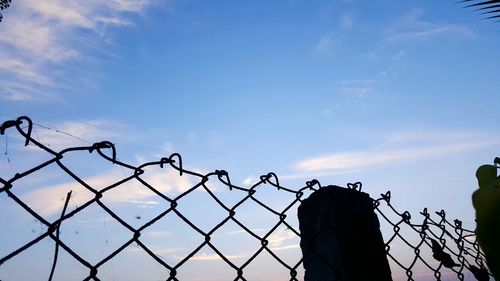 Low angle view of barbed wire against sky