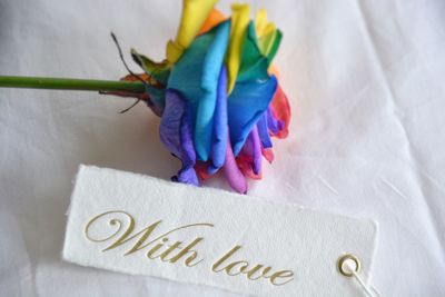 High angle view of multi colored flower by text on table