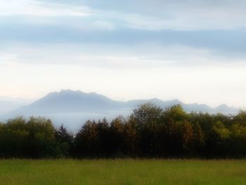 Scenic view of field against sky