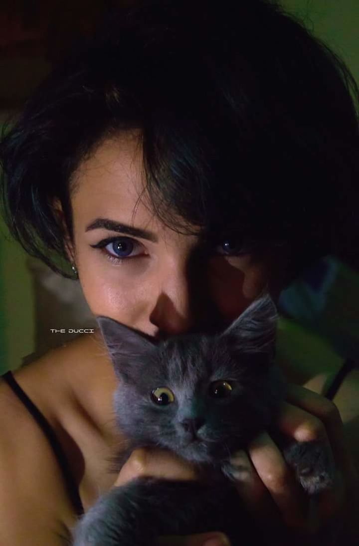 portrait, pets, domestic, looking at camera, domestic cat, cat, one animal, one person, domestic animals, mammal, feline, young adult, headshot, women, front view, adult, holding, pet owner, whisker, hairstyle, beautiful woman, care