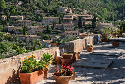 High angle view of potted plants