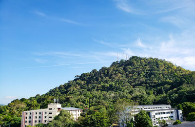 Plants and buildings against sky