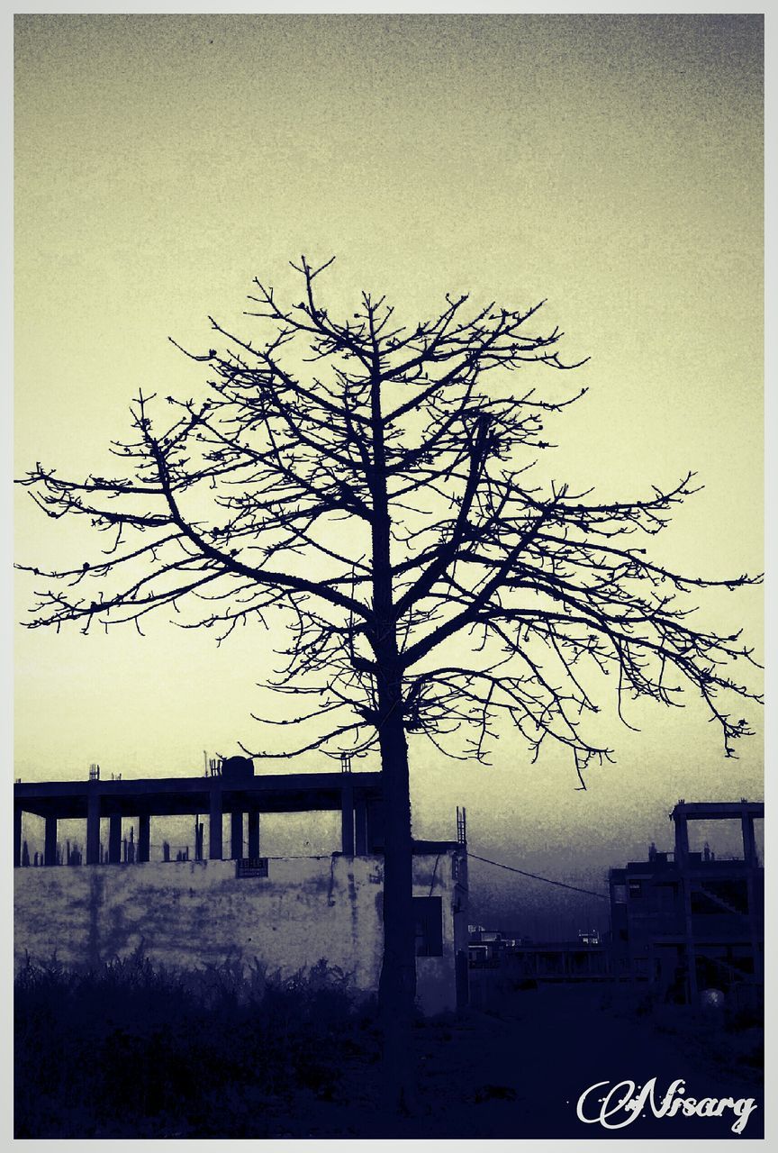 BARE TREES ON LANDSCAPE AGAINST CLEAR SKY