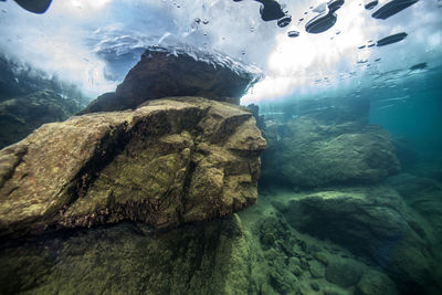 Scenic view of rock underwater