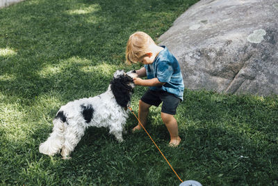 Boy playing with puppy on grass