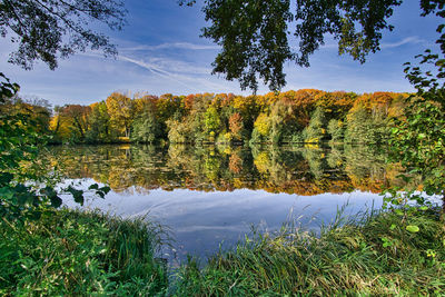 Scenic view of lake by trees against sky