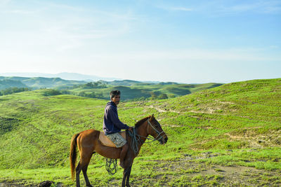 Man riding horse in a field