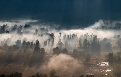 Panoramic view of trees against sky