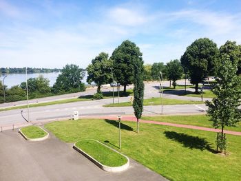 Trees in park against sky