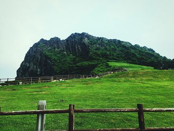 Scenic view of grassy field against sky