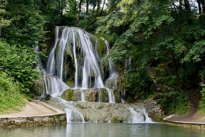 Scenic view of waterfall in forest