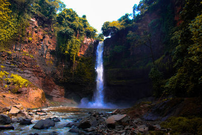 Scenic view of waterfall in forest