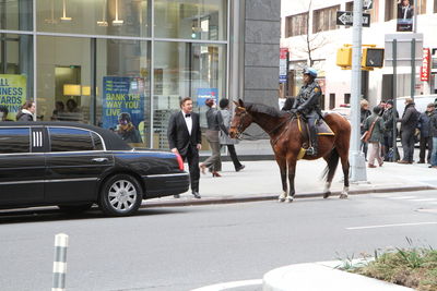 Horse cart in city street