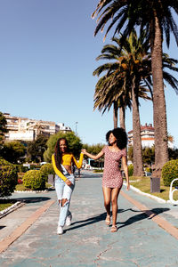 Delighted black woman with braids holding hand of african american female best friend with curly hair while walking along street in tropical city on sunny day