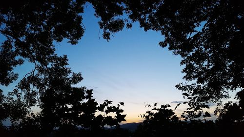 Low angle view of silhouette trees against blue sky