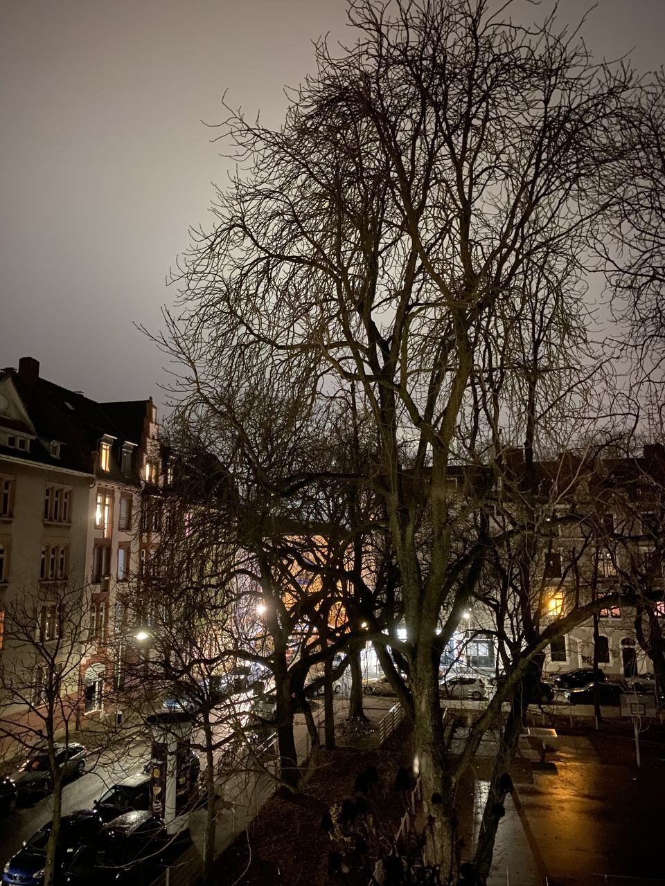 BARE TREE BY BUILDINGS AGAINST SKY