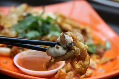 Close-up of food in bowl