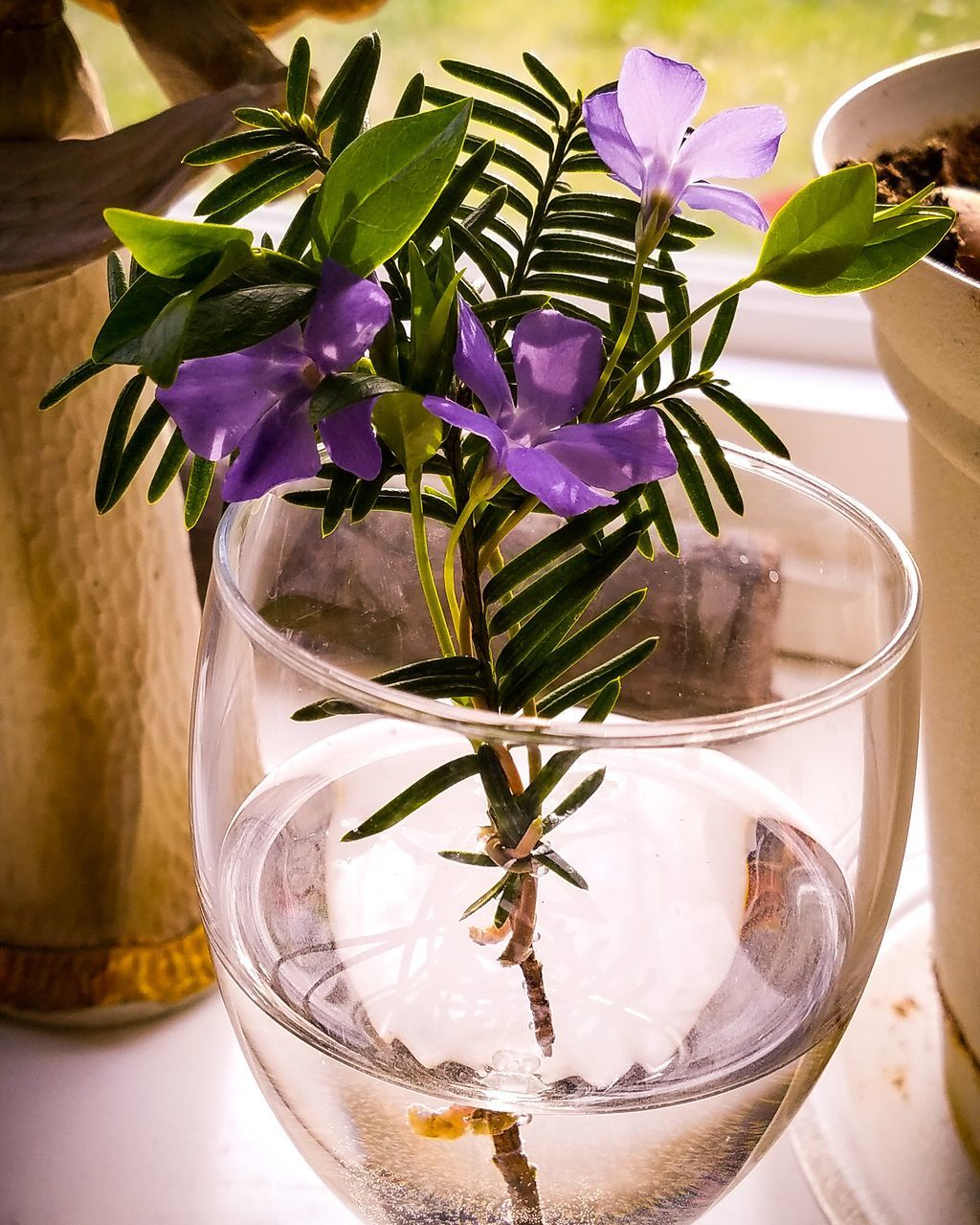 plant, flowering plant, flower, freshness, vase, beauty in nature, nature, indoors, close-up, leaf, table, plant part, glass - material, vulnerability, no people, fragility, transparent, flower head, glass, purple, flower arrangement