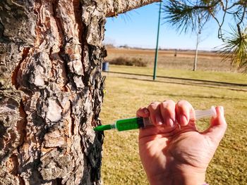 Cropped hand injecting syringe on tree trunk