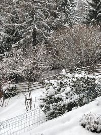 High angle view of snow covered landscape