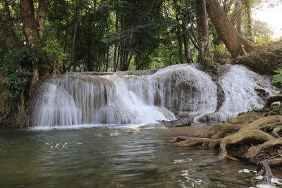 Scenic view of waterfall in forest