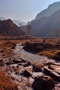 River flowing through landscape