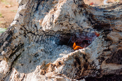 Close-up of rock in water