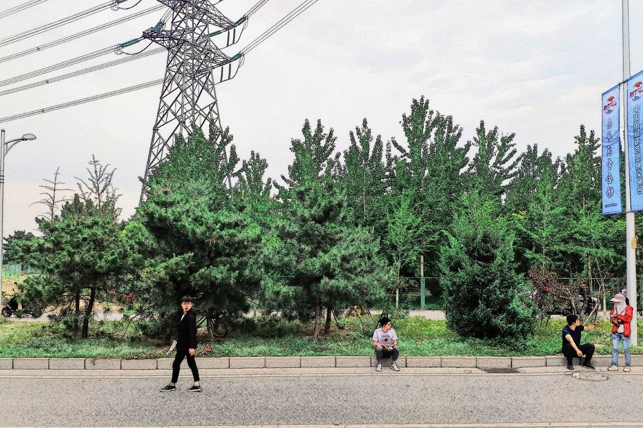 tree, plant, sky, nature, real people, men, group of people, day, growth, full length, people, lifestyles, outdoors, adult, architecture, walking, electricity, green color, built structure, women