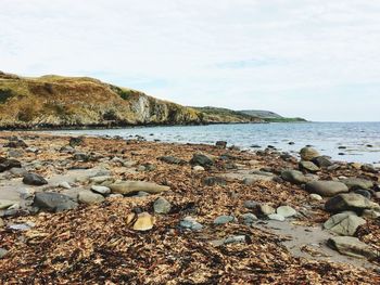 Rocks on beach against sky