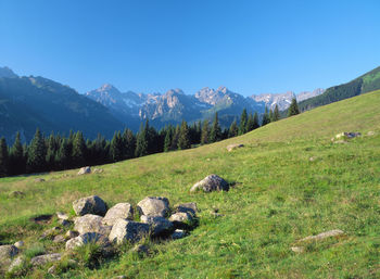 Scenic view of mountains against blue sky