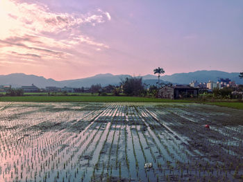 Scenic view of field against sky during sunset