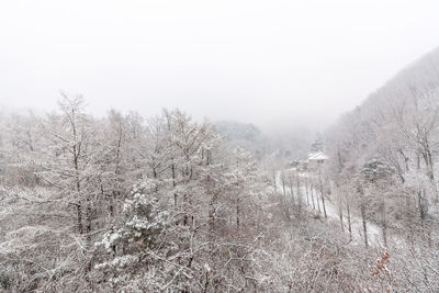 Snow covered landscape against sky