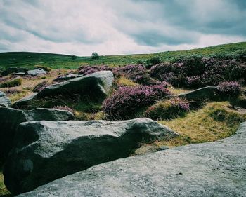 Scenic view of field against cloudy sky