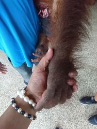 Low section of man with dog