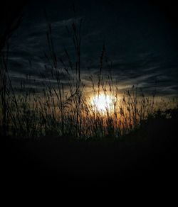 Scenic view of landscape at sunset