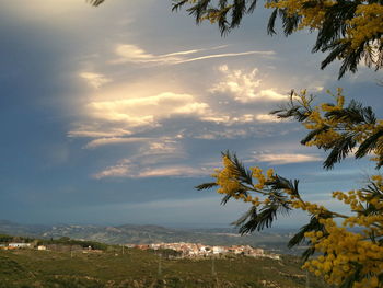 Scenic view of landscape against sky during sunset