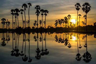 Silhouette palm trees by lake against sky during sunset