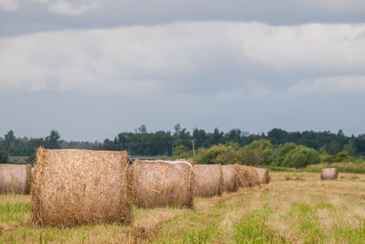 Hay bales on field against sky